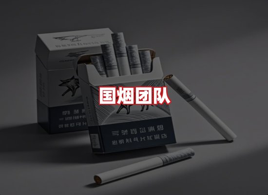 国烟团队